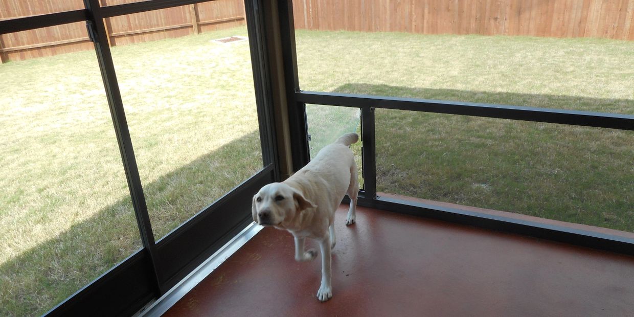 Dog door without cutting hot sale door